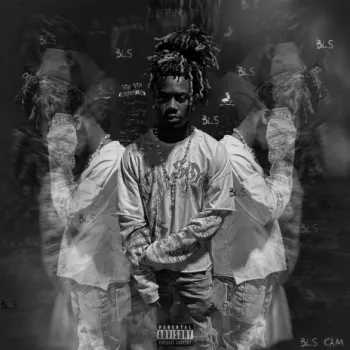 for my fans cover art