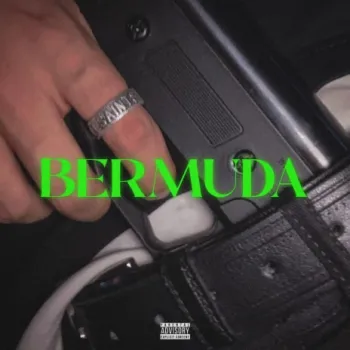 Bermuda cover art