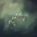 janteVIBES ep3