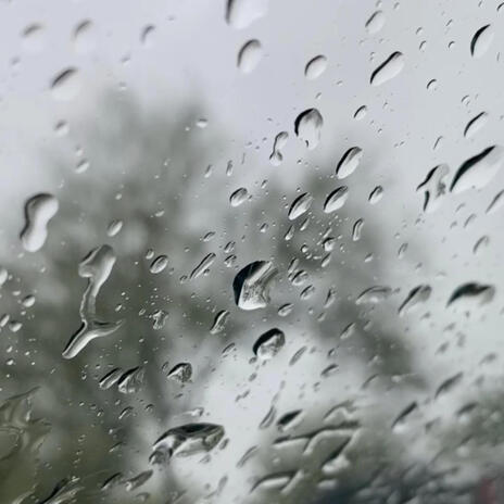 Rain cover art