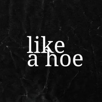 Like A Hoe cover art