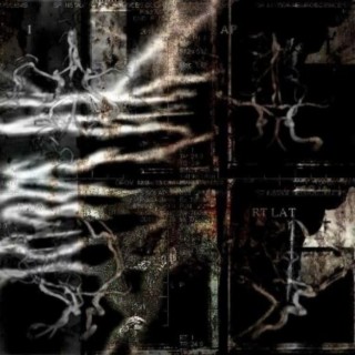 blight23