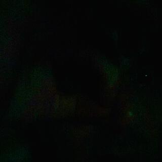 Night Vision