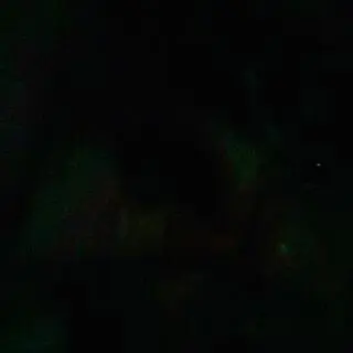 Night Vision cover art