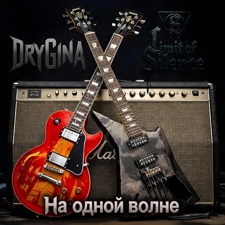 На одной волне (Bonus Version Metalcore) ft. DryGinA cover art