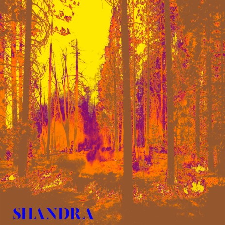 Театр в огне cover art