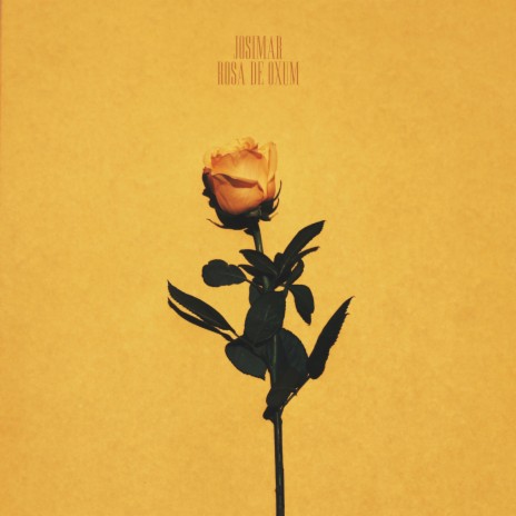 Rosa de Oxum cover art