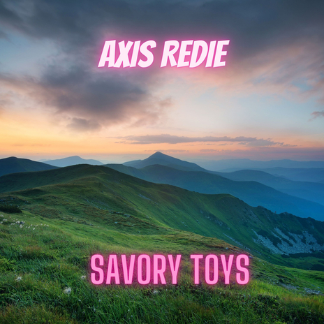 Savory Toys cover art