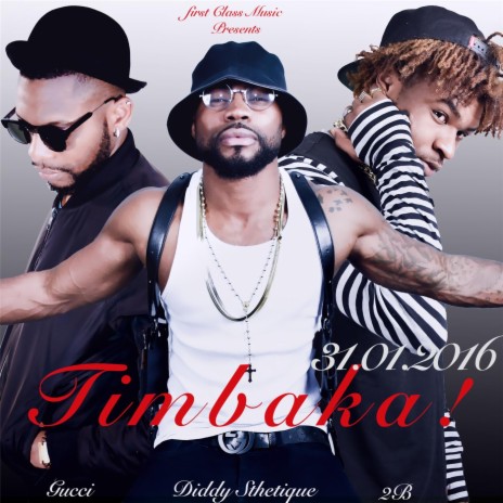 Timbaka (feat. Gucci, 2b & Diddy Sthetique) cover art