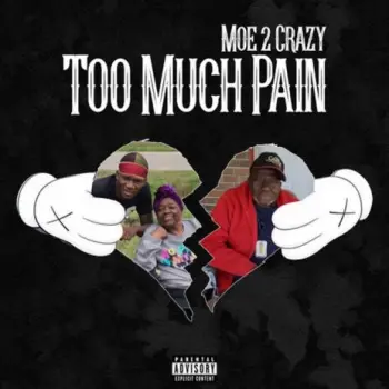 Too Much Pain cover art