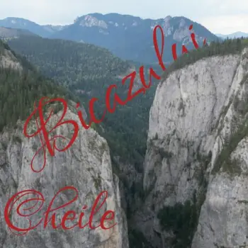 Podul suspendat cover art