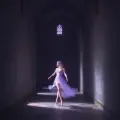 Heartless Flight