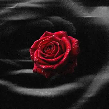 Bleed cover art