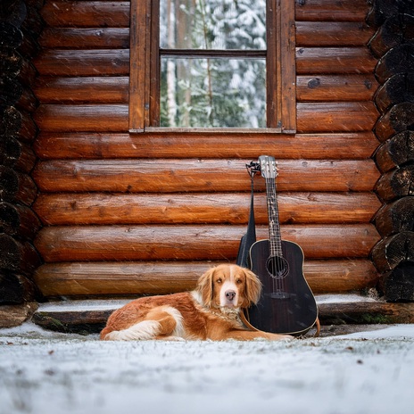 Treat Time Harmony ft. Warm Melodies & Birds On Television