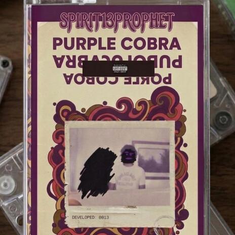 The Mirror is the Truth cover art
