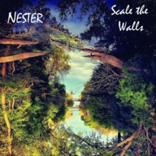 Scale the Walls