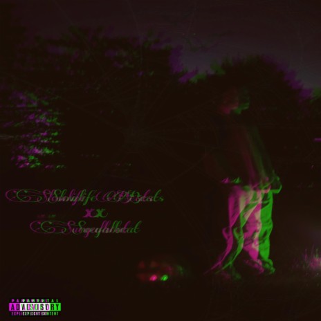 MAS QUE EXCELENTE cover art
