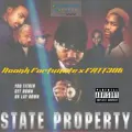 STATE PROPERTY---3589 ft. FATT308