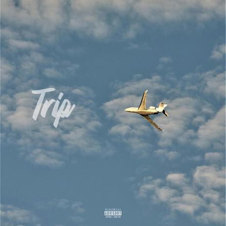 Trip cover art