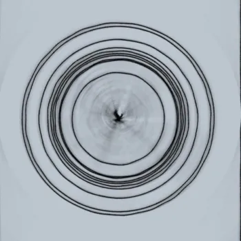 Offshoot cover art