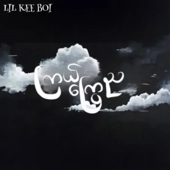 ကြယ်ကြွေည cover art