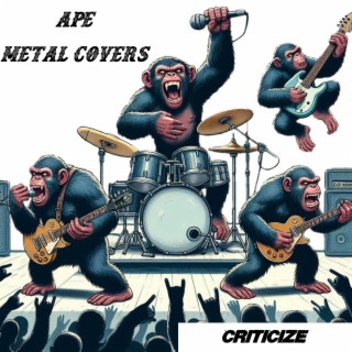 APE Metal Covers