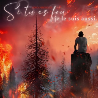 Si tu es fou, je le suis aussi.
