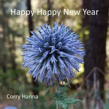 Happy Happy New Year (No Countdown) cover art