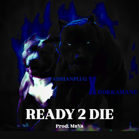 READY 2 DIE ft. DOKKAMANE cover art