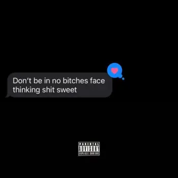 WONT SEE HEAVEN cover art