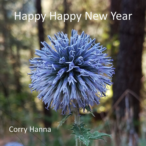 Happy Happy New Year (Extended Dance MIX, No Countdown) cover art