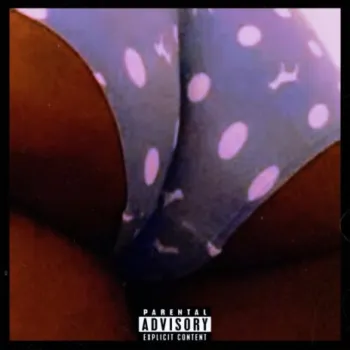 Checks cover art