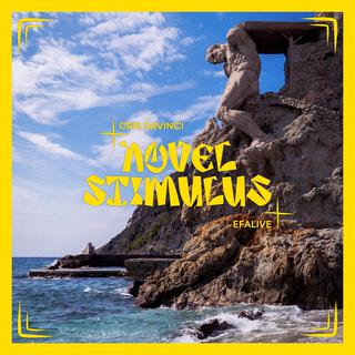 NOVEL STIMULUS
