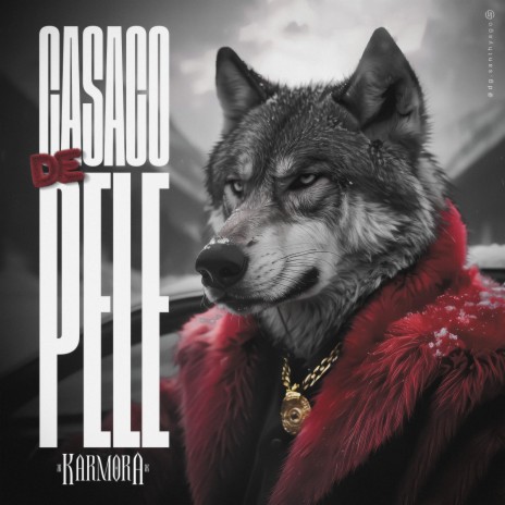 Casaco De Pele ft. Casa De Musique cover art