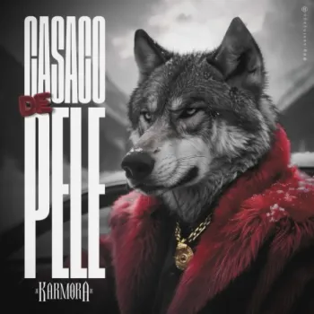 Casaco De Pele ft. Casa De Musique cover art
