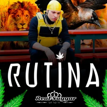 Rutina cover art