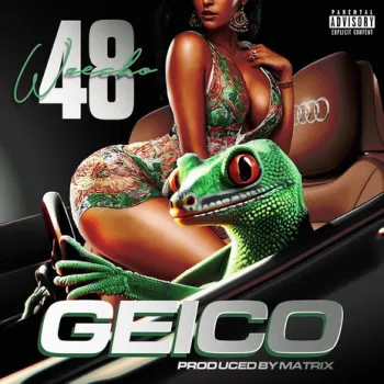 Geico cover art