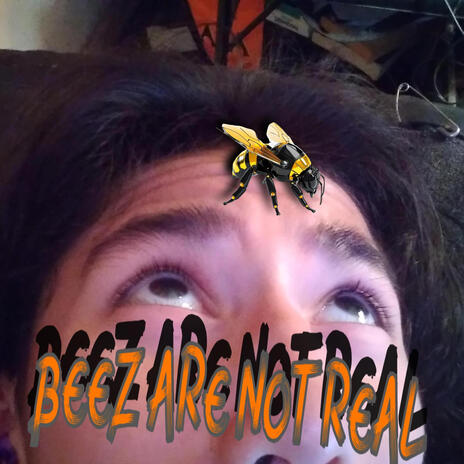 BEEZ ARE NOT REAL ft. JASON JUPAT cover art