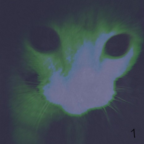 cat one cover art