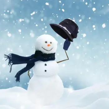 Snow cover art