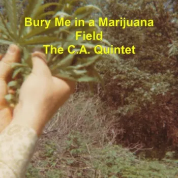 Bury Me in a Marijuana Field cover art