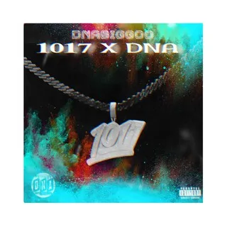 DNA X 1017 UPNEXT (GOOMIX) cover art