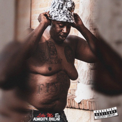 Like Me cover art
