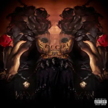 Special cover art