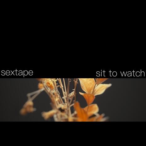 intermittent/seasons (live, acoustic home demo) cover art