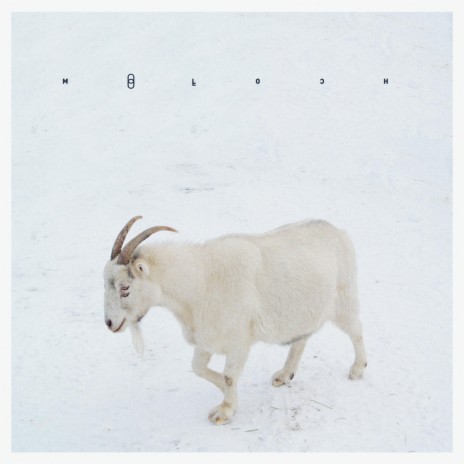 These Feelings I Paid For cover art