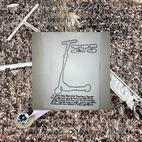 Widdlenickle Binglebottoms Personal Song cover art