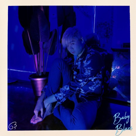 Baby Blues cover art