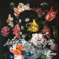 LOVE & PLAYS