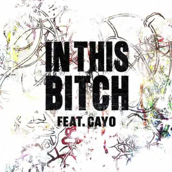 In This Bitch ft. Cayo cover art
